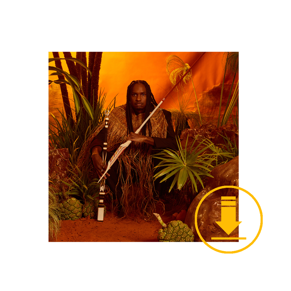 DJANDJAY Deluxe (Digital Album)