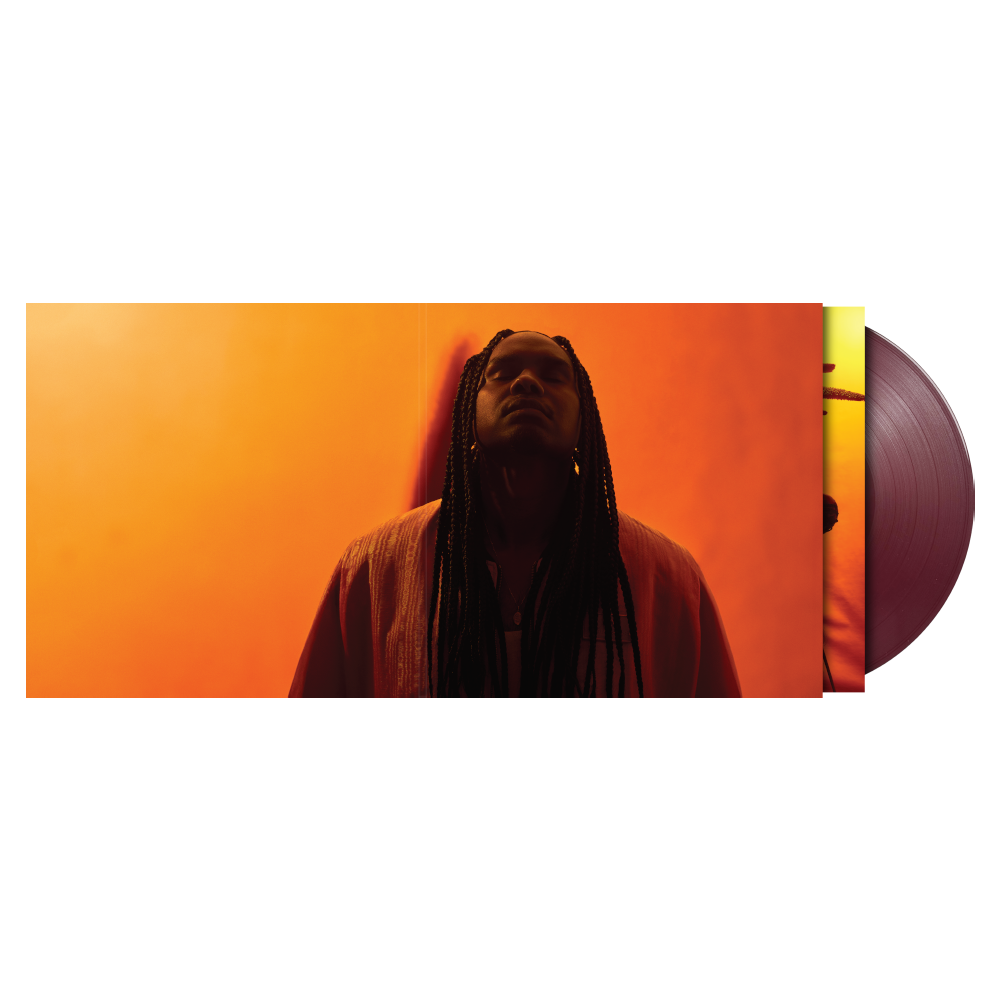 DJANDJAY (Exclusive Oxblood LP) 3